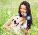 Hundeversicherung