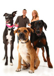 Kampfhundehaftpflicht auf www.verbraucherforum-info.de Kampfhundehaftpflicht auf www.verbraucherforum-info.de