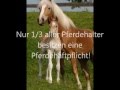Pferdehaftpflicht Video